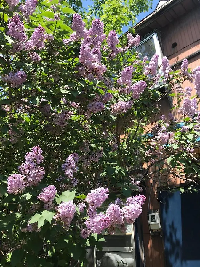 ホテル 古びた民家 札幌市 ゲストハウス