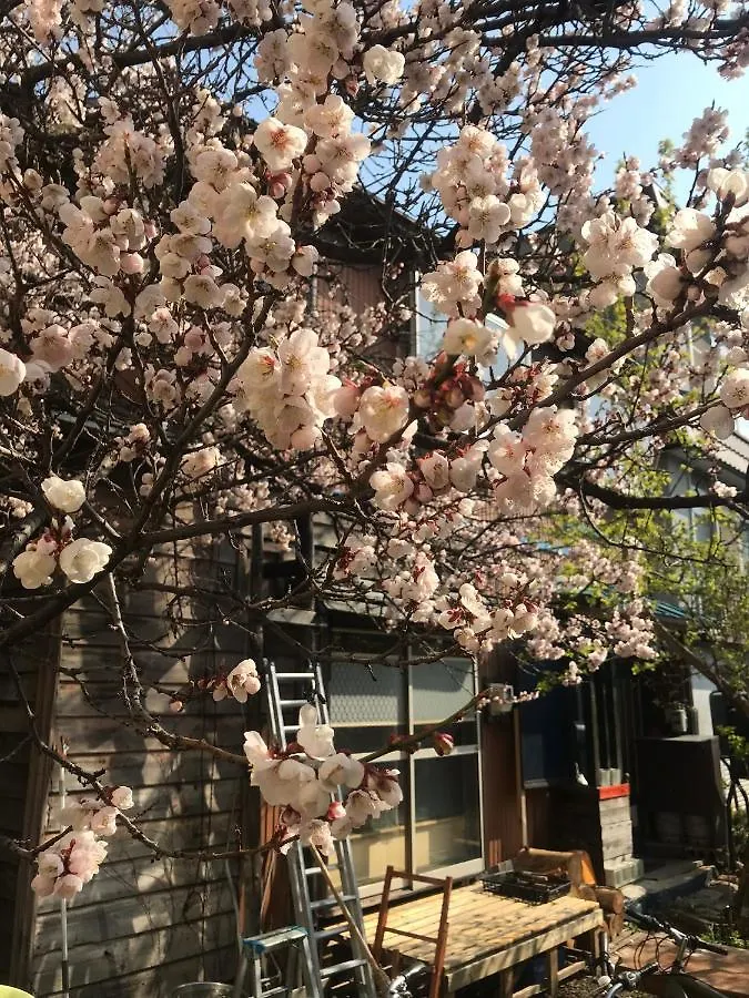 Shabby House Otel Sapporo Konukevi